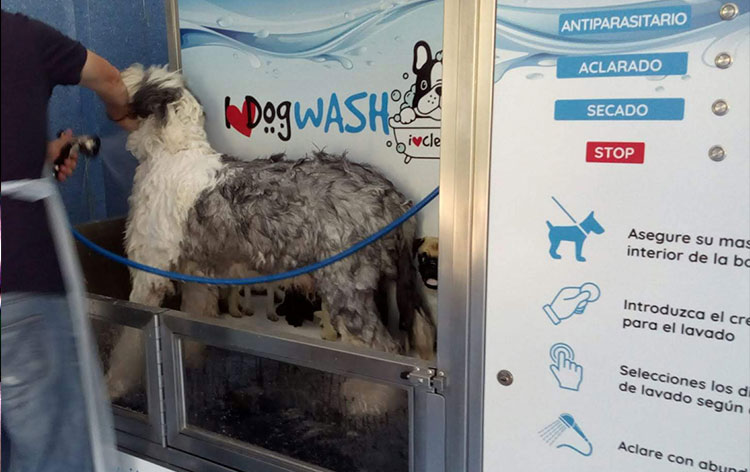 lavanderia-canina