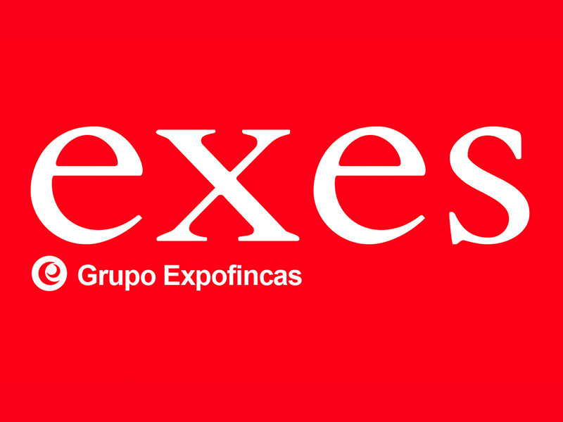 Logo de la Franquicia Exes - Grupo Expofincas