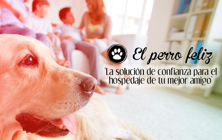 franquicia_el_perro_feliz