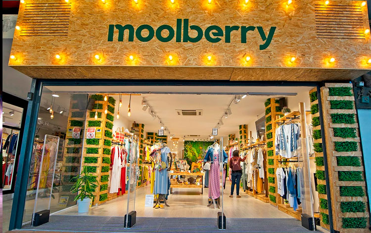 precio-franquicia-moolberry