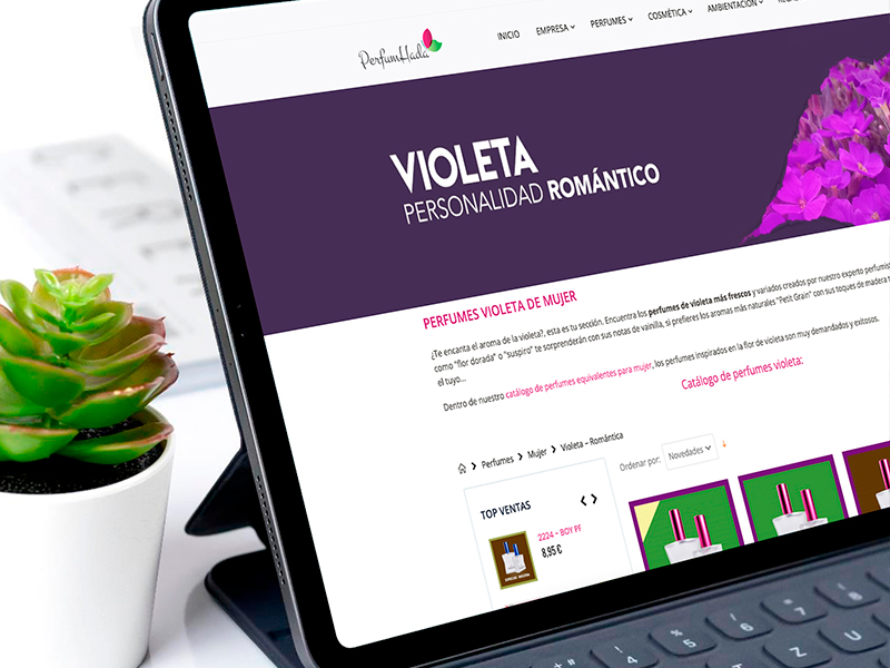 abrir_franquicia_online