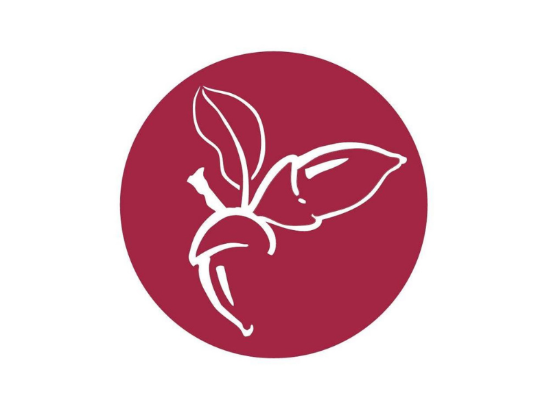 abrir-franquicia-de-tienda-de-alimentos