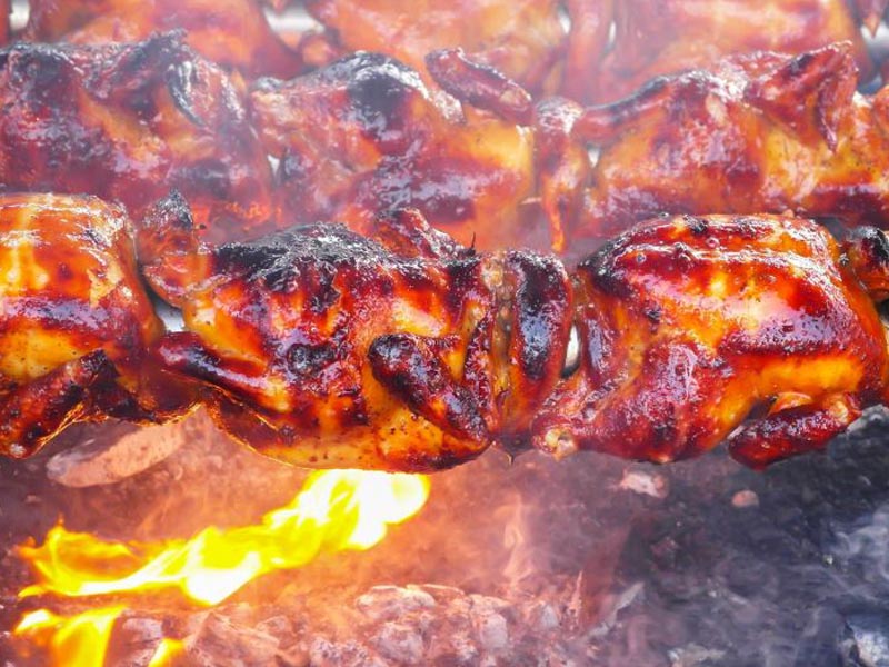 Pollo
