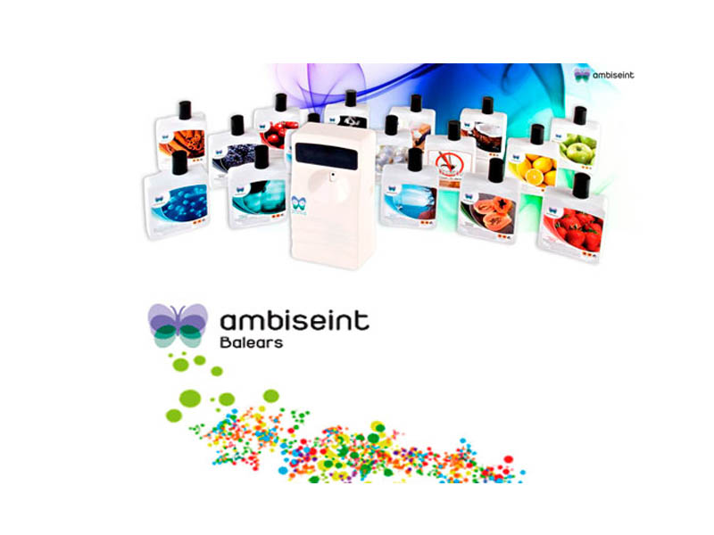 precio-franquicia-ambiseint