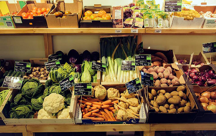 abrir_un_supermercado_ecologico