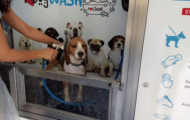 abrir-negocio-para-mascotas