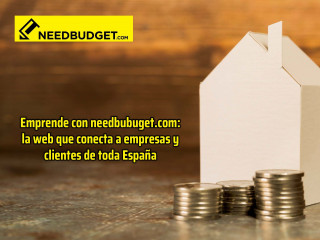 needbidget