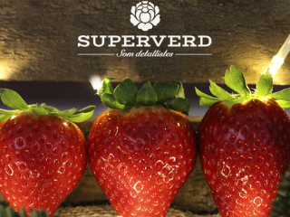 abrir-franquicia-de-supermercados-y-tiendas-de-alimentación