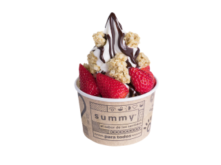 abrir-franquicia-yogurteria