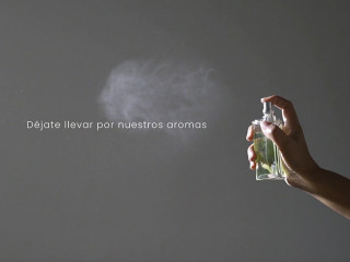 abrir-franquicia-de-servicios-especializados