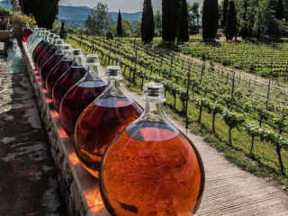 abrir-franquicia-de-vinos