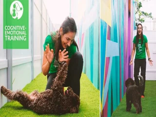 Adiestrador canino franquicia Educan