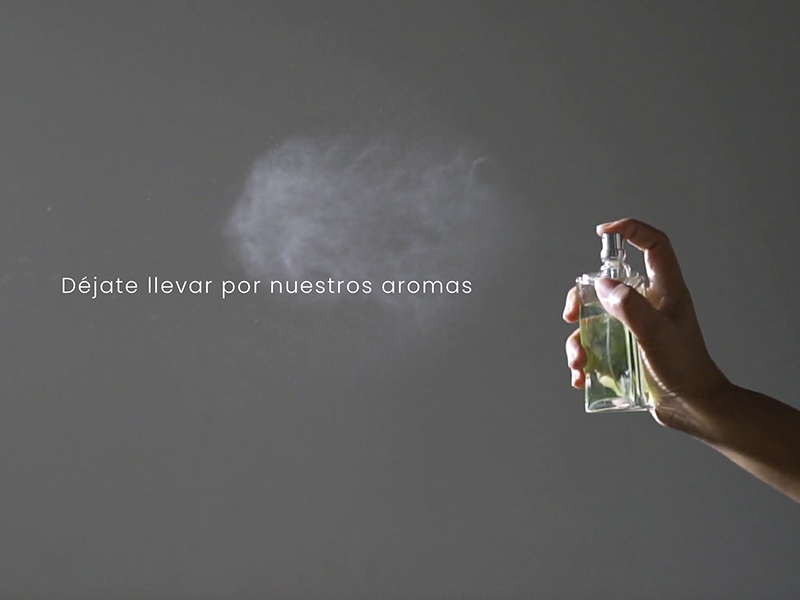abrir-franquicia-de-servicios-especializados