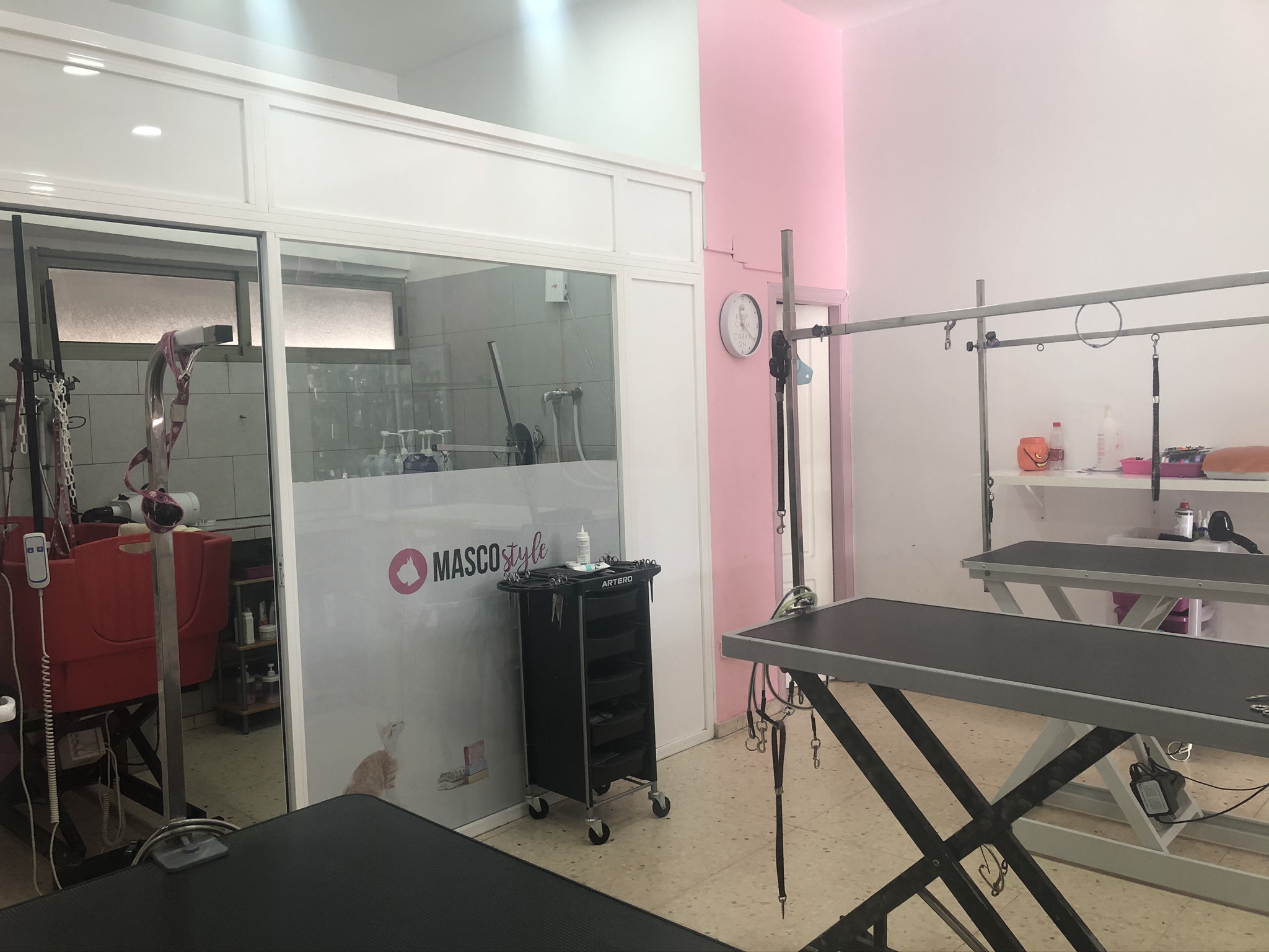 tienda-mascotetes