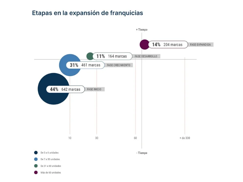 Gráfico de las etapas en la expansión de franquicias en España: 44% en fase de inicio, 31% en crecimiento, 11% en desarrollo y 14% en fase expandida.