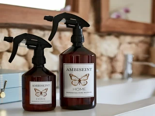 Franquicia Ambiseint