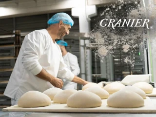 Franquicia Granier