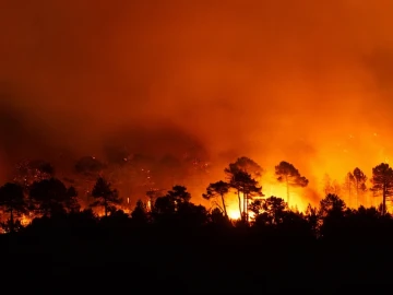 Incendios forestales