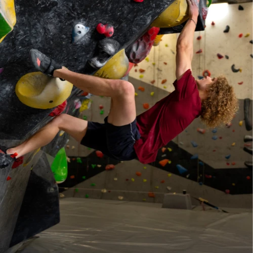 Franquicias de Turismo